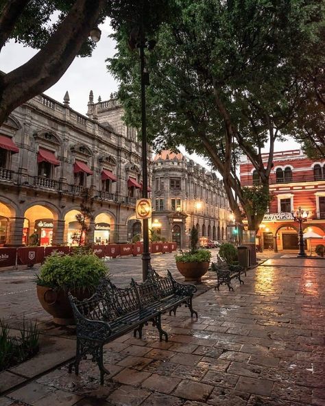 Mexico Houses, Puebla City, Mexico Pictures, Latin America Travel, Living In Mexico, Mexico Culture, Vacation Goals, Dream City, City Aesthetic