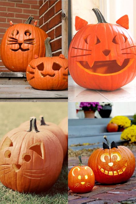 Unique Jack O Lantern Ideas Easy, Pumpkin Carving Animals Easy, Easy Kitty Pumpkin Carving Ideas, Easy Pumpkin Carvings For Kids, Jack O Lantern Easy Carving, Easy Animal Pumpkin Carving Ideas, Big And Small Pumpkin Carving Ideas, Halloween Pumpkin Designs Easy, Kids Carving Pumpkin Ideas