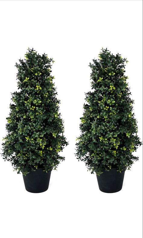 Great deal on two cone shaped boxwood topiaries. Will look great sitting in planters at your front door! Topiary Front Porch, Shaped Boxwood, Cone Topiary, Boxwood Balls, Artificial Topiary, Porch Plants, Silk Tree, Outdoor Trees, Boxwood Topiary