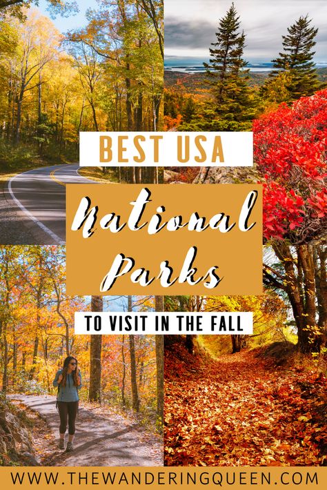 fall colors | fall foliage | best national parks to visit in October | best national parks to visit in fall what are the fall colors | best national parks to visit in September | national parks tn | national parks va fall colors | best national parks in fall | 10 best national parks to visit in the fall | best fall colors | national parks tx | pretty park | best national parks for hiking in fall | national parks near ohio | national parks ohio | yosemite fall colors Best National Parks, Usa Food, Beautiful Leaves, Travel Winter, Usa Travel Guide, National Parks Usa, Us Destinations, National Parks Trip, Fall Travel