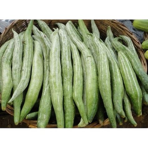 Snake gourd is a popular and widely grown vegetable in South and Southeast Asian countries. Also known as chichinda (चिचिंडा ) in the Northern parts of India, it is cultivated for its long, slender, and immature fruits. Read more…. https://www.nutrition-and-you.com/snake-gourd.html Snake Gourd, Asian Countries, Southeast Asian, Gourds, Nutrition Facts, Read More, Nutrition, India