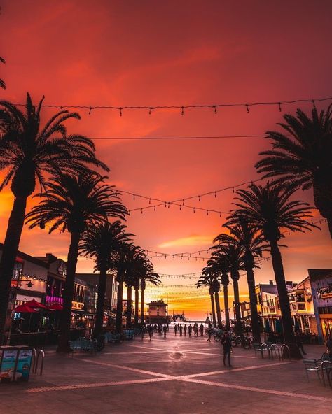 Hermosa Beach pier sunset Zepeto Background Aesthetic Beach, Sunset Los Angeles, Hermosa Beach Pier, Hermosa Beach California, Pier Sunset, Breathtaking Sunsets, La Jolla Cove, Popular Places, Cali Life