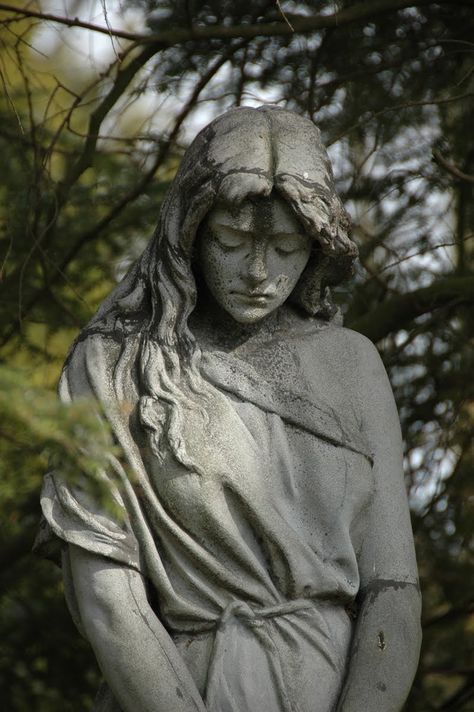 Dark Academy Aesthetic, Academy Aesthetic, Dark Academia Aesthetic Wallpaper, Cemetery Statues, Dark Academy, Istoria Artei, Classic Sculpture, Greek Statues, Angel Sculpture