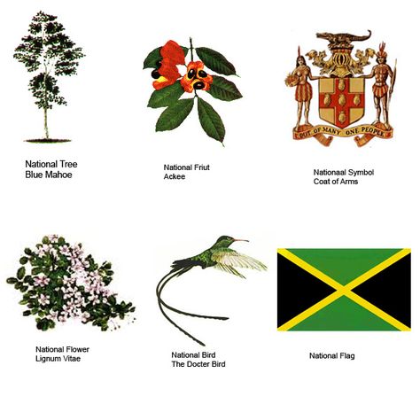 The Jamaica’s National Symbols | Traverse Jamaica Jamaica National Heroes, Jamaican Phrases, Jamaican Tattoos, Jamaica Facts, Jamaica Culture, Jamaica History, Jamaican Culture, Tropical Flower Plants, National Flower