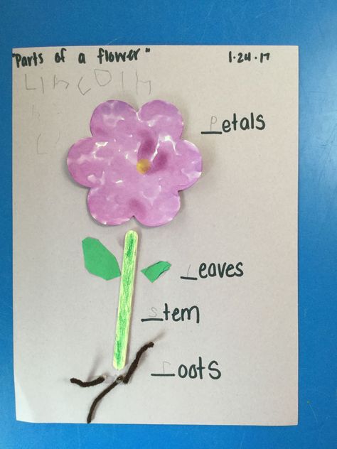 Parts of a Flower - Carmel Mountain Preschool Spring Circle Time Preschool, Flower Preschool, Crayon Flower, Flower Crafts Preschool, Flowers For Kids, Garden Unit, Preschool Garden, Planting For Kids, Plant Activities