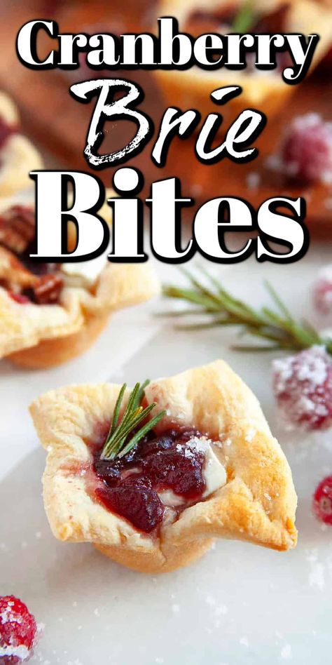 These Cranberry Brie Bites are the perfect appetizer to serve over the holidays. They are quick to make, festive, and delicious! The perfect little holiday nibble. Brie Bites Appetizer, Cranberry Appetizer, Xmas Appetizers, Cranberry Brie Bites, Cranberry Bites, Fancy Appetizer Recipes, Brie Cranberry, Brie Appetizer, Cranberry Brie