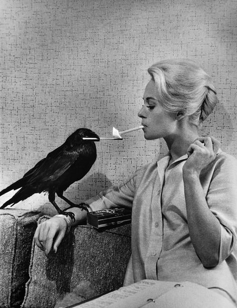 Philippe Halsman, Tippi Hedren, Anna Karina, A Crow, Jeanne Damas, Bird Canvas, Bird Poster, Marlon Brando, Sean Connery