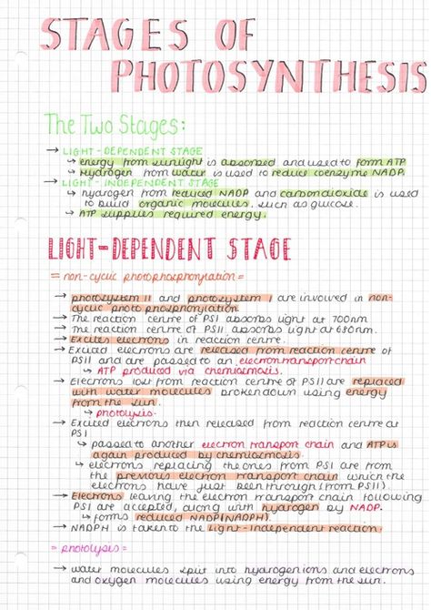 Photosynthesis Notes, Science Revision, Biology Revision, Study Biology, Planner Apps, Nurse Study Notes, Medical Student Study, Study Flashcards, Biology Lessons