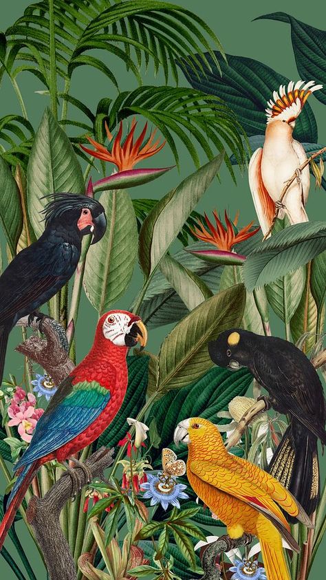 Jungle Iphone Wallpaper, Iphone Wallpaper Jungle, Iphone Wallpaper Tropical, Tropical Prints Pattern, Parrot Wallpaper, Vintage Bird Illustration, Jungle Birds, Jungle Flowers, Artsy Background