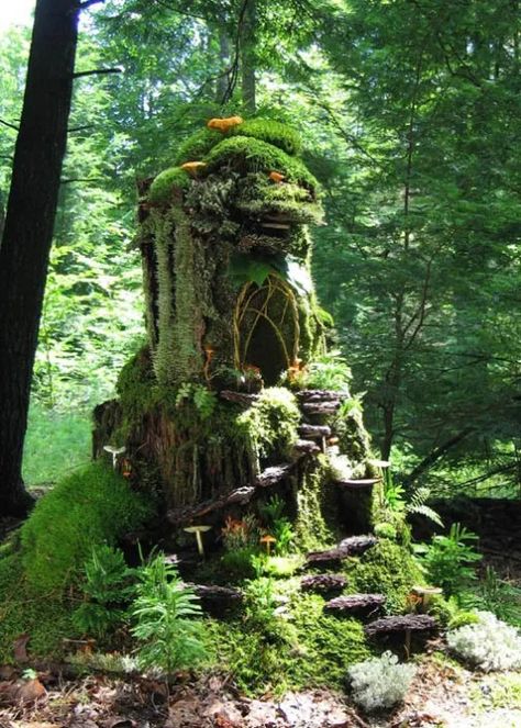 Fairy Garden Ideas Enchanted Forest, Moss Growing, Tree Stump Planter, Funny Vine, Fairy Tree Houses, Flea Market Gardening, Cool Tree Houses, Magical Tree, Fairy Garden Designs