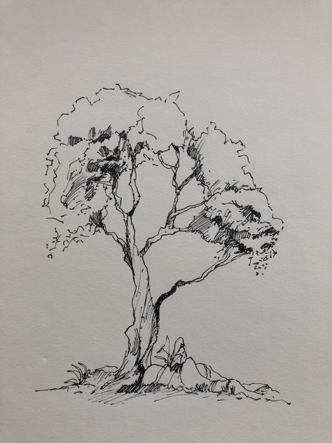 Trees Pen Drawing, Tree Pen Sketch, Trees Drawing Simple, Aesthetic Tree Drawing, Sketch Ideas Nature, Tree Drawing Pen, Pen And Ink Drawings Simple, Tree Pen Drawing, Simple Pen Drawings