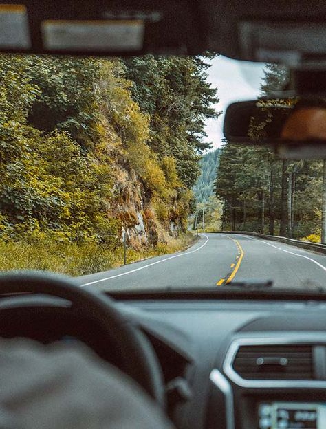 5 important safety tips for new drivers and the inexperienced https://www.we-heart.com/2020/02/25/5-important-safety-tips-for-new-drivers/ Pacific Northwest, Nature, Car Poses, Inside Car, Road Trip Car, Car Smell, Car Driving, New Drivers, Car Travel