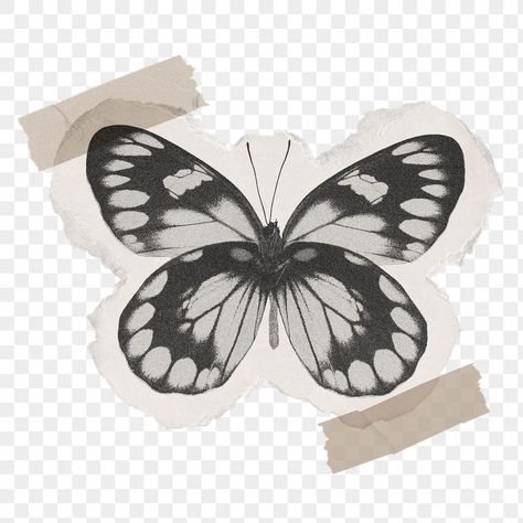 Ripped Paper Png Aesthetic Vintage, Make Up Png Aesthetic, Butterfly Png Icon, Butterfly Vintage Sticker, Ripped Paper Png Aesthetic, Butterfly Png Aesthetic, Cute Transparent Icons, Paper Png Aesthetic, Butterfly Stickers Aesthetic