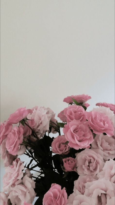 Aesthetic Flower Wallpapers - Top Free Aesthetic Flower Backgrounds - WallpaperAccess Pink Roses Aesthetic Wallpaper, Roses Lockscreen, Flower Lockscreen Aesthetic, Pink Flowers Aesthetic Wallpaper, Floral Tumblr, Flower Aesthetic Wallpaper, Iphone Wallpaper Plants, Aesthetic Wallpaper Iphone Vintage, Vintage Lockscreen