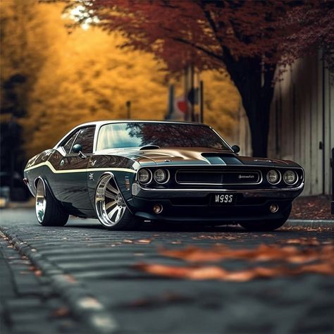 Muscle Cars on Instagram: "#dodge #challenger _ #Classic #classics #Classiccar #classiccars #americanmuscle #Musclecar #Musclecars #car #cars" Plymouth Road Runner, Premier Lig, Plymouth Duster, Old Muscle Cars, Car Quotes, Ford Mustang Car, Dodge Muscle Cars, Aesthetic Car, Mopar Muscle Cars