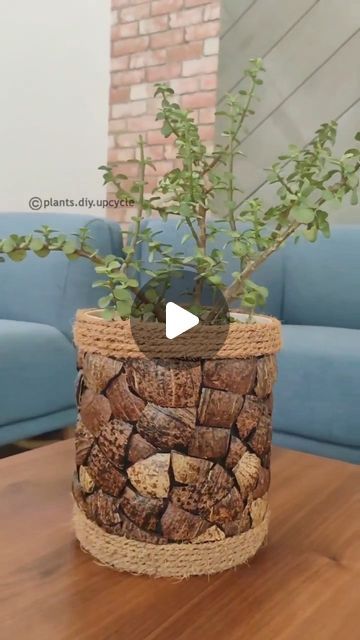 dekorhomedekor on Instagram: 👏👏👌👌 Repost from @plants.diy.upcycle 👏👏 DIY planter with coconut shells and coir.. #diy #planter #coconutshellart #coconutshellcraft… Craft From Coconut Shell, Diy Coconut Shell Crafts Ideas, Bottle Plants Ideas, Coconut Shell Painting Ideas, Coconut Shell Crafts Diy, Pot Decorating Ideas Indian, Coconut Shell Art, Coconut Painting, Coconut Decoration