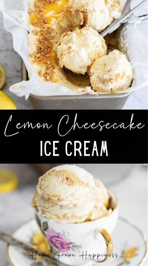 This decadent lemon ice cream tastes just like lemon cheesecake! It’s got swirls of lemon curd, buttery biscuit and a creamy no-churn cheesecake ice cream base. This no-churn lemon cheesecake ice cream is such a treat. It’s a little bit like a deconstructed lemon cheesecake turned into ice cream—swirls of tangy lemon curd, buttery biscuit crumbs and a vanilla cheesecake ice-cream base. Best Lemon Cheesecake, Cheesecake Ice Cream Recipe, Lemon Ice Cream, Lemon Ice, Cheesecake Ice Cream, Vanilla Cheesecake, Ice Cream Base, Cream Base, Lemon Cheesecake