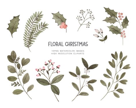 Holly Clipart, Mistletoe Clipart, Christmas Stock Photos, Floral Christmas, Christmas Plants, Floral Png, Clipart Christmas, Floral Clipart, Watercolor Images