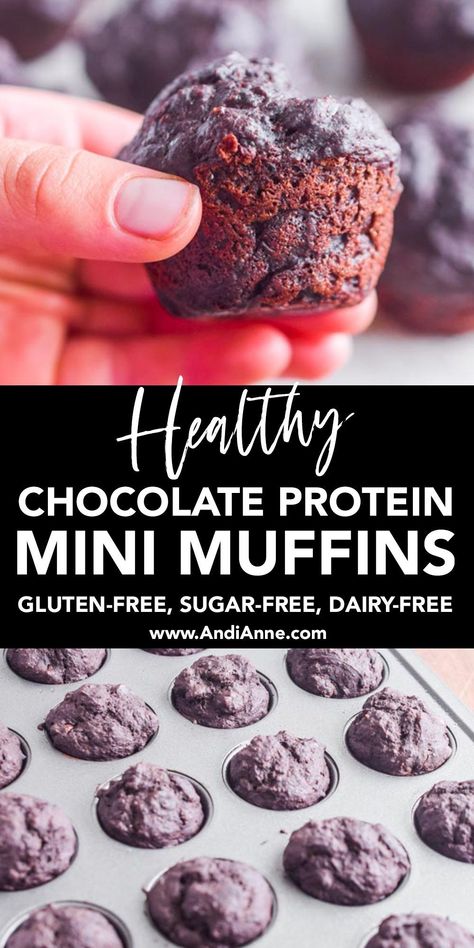 Protein Muffins With Oat Flour, Healthy Muffins With Protein Powder, Healthy Chocolate Protein Muffins, Simple Protein Muffins, Cocoa Powder Muffins, Protein Powder Mini Muffins, Chocolate Protein Muffins For Kids, Desserts With Chocolate Protein Powder, Nut Free Protein Muffins