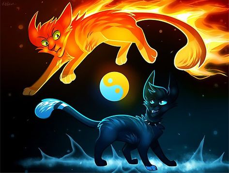 Firestar and Scourge like Yin and Yang, but with warrior cats. Hope u like it, and have fun with it!! Warrior Cats Scourge, Warrior Cats Series, Warrior Cats Books, Warrior Cats Fan Art, Warrior Cat Drawings, Love Warriors, Warrior Cat Oc, Cat Oc, Warrior Cats Art