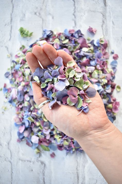 Lilac Pink Green Natural Confetti Natural Confetti Ideas, Natural Confetti Wedding, Lilac And Forest Green Wedding, Nature Confetti, Lilac And Green Wedding, Hydrangea Confetti, Confetti Ideas, Lavender Confetti, Natural Confetti