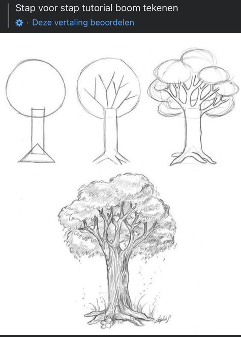 Tree Drawing No Leaves, Different Types Of Trees Drawing, Big Tree Drawing Easy, How To Draw Tree Without Leaves, How To Draw Trees Architecture, Watercolor Art Lessons, Art Lessons, Watercolor Art, Media