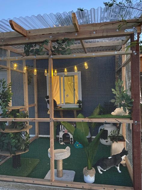 Cat House Design, Cat Room Decor, Ideas For Cats, Katt Grejer, Cat Area, Terrasse Design, Cat Patio, Outdoor Cat Enclosure, Cat House Diy