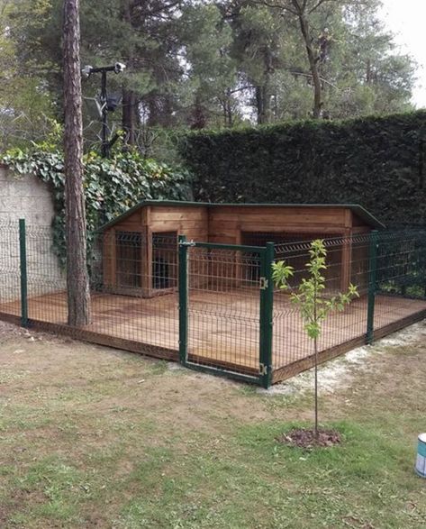 Cute House Backyard, Dog Park At Home, Outdoor Dog Area, Backyard Dog Area, Dog Play Area, Kennel Ideas Outdoor, Dog Backyard, Dog Kennel Designs, Dog Trailer