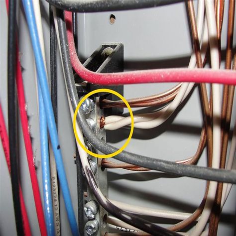 Electrical Panel Wiring, House Plumbing, Basic Electrical Wiring, Bus Bar, Always Has Been, Home Electrical Wiring, Diy Handyman, Handyman Projects, Electrical Code