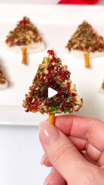 Genevieve LaMonaca on Instagram: "Festive Brie Bites🎄Follow @chefgenevieve for more holiday recipes 

Candied Pecan & Cranberry Brie Bites
Makes 12

Ingredients:
8oz Brie wheel
1/4 cup honey 
12 pretzel sticks 
1/3 cup candied pecans
1/3 cup dried cranberries
1/2 cup parsley 

Cut brie wheel into 6 sections then slice the sections through the middle. Finely chop candied pecans, cranberries and parsley together. Cut pretzels in half then push up into the bottom of your brie ‘Christmas tree’ sections. Dip flat side into honey then into the pecan/cranberry mixture." Brie Christmas, Brie Wheel, Honey Appetizers, Cheese Tree, Cranberry Brie Bites, Cranberry Bites, Candied Pecan, Mini Quiche Recipes, Brie Cranberry