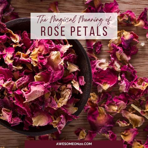 Roses have been a popular symbol of romance for ages, but the magical meaning of rose petals goes much deeper. Learn how to use these beautiful petals in all kinds of witchcraft. The post The Magical Meaning of Rose Petals appeared first on Awesome on 20. Sachets, Nature, Breakfast Candle, Goddess Core, Dry Rose Petals, Rose Petal Uses, Woven Kingdom, Dried Petals, Fresh Rose Petals