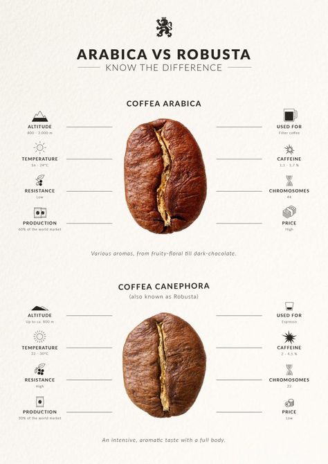 Arabica versus Robusta - PIO Gastro Bar & Bistro | Latin Street Foods Arabica Robusta, Robusta Coffee, Coffee Infographic, Coffea Arabica, Coffee Facts, Coffee World, Coffee Barista, Irish Coffee, Arabica Coffee