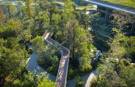 Forest Pavilion, Forest Ecosystem, Urban Forest, Sales Center, Foster Partners, Landscape Concept, Urban Fabric, Aspen Trees, Residential Complex