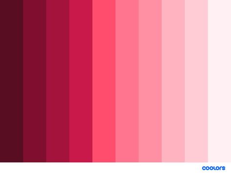 pink monochromatic color palette #pink #colorpalette #monochromatic Red Monochromatic Painting, Elements Of Design Color, Red Monochromatic, Monochromatic Illustration, Sunset Color Palette, Makeup Look Black Women, Color Theory Art, Pink Color Palette, Monochrome Makeup Look