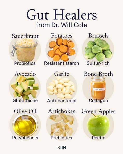 You're not what you eat, you're what your microbiome eats. 🔬 The trillions of bacteria and yeast in our gastrointestinal tract are nourished by the food we consume daily! ⁠ ⁠ Learn more from Dr. Cole in the Gut health Course! 💡 Starting This course dives into the deep connections between gut health and overall well-being, addressing how to make targeted diet and lifestyle modifications for a balanced gut and life.⁠  #microbiome #guthealth #gutmicrobiome #digestion #foodismedicine Foods For Gut Health, Gut Health Diet, Gastrointestinal Tract, Gut Health Recipes, Integrative Nutrition, Power Foods, Healthy Food Dishes, Herbs For Health, Holistic Nutrition