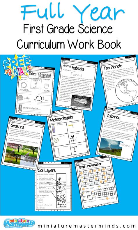 First Grade Science Full Year Curriculum – Miniature Masterminds 1st Grade Homeschool Science, First Grade Yearly Lesson Plans, First Grade Science Lessons Plans, 1st Grade Science Curriculum Homeschool, 1st Grade Science Curriculum, First Grade Health Lessons, First Grade Homeschool Ideas, Second Grade Science Curriculum, Homeschooling 1st Grade Curriculum