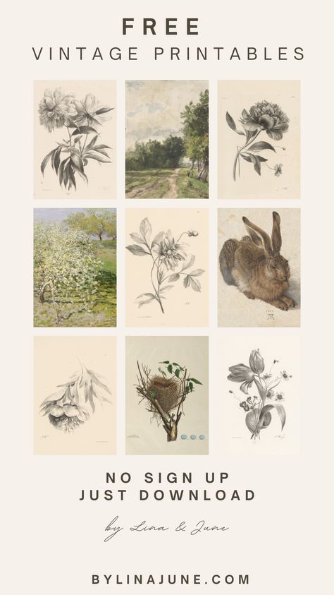 Just click, download, and print. It’s never been easier to redecorate your walls with some beautiful vintage botanical prints. The best part: It’s all FREE and you can do it yourself. Vintage Christmas Botanicals, Diy Botanical Art, Free Vintage Botanical Printables, Vintage Wall Art Prints Free Printables, Free Vintage Art Prints, Print Stickers Free Printable, Vintage Pictures Printable, Wall Art Printables Free, Free Botanical Printables