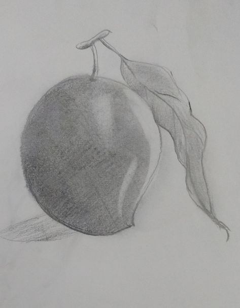 Mango drawing by pencil Mango Drawings Pencil, Mango Drawing, Fruit Drawing, Fruits Drawing, Cute Easy Drawings, Pencil Sketch, Pencil Drawings, Easy Drawings, Mango