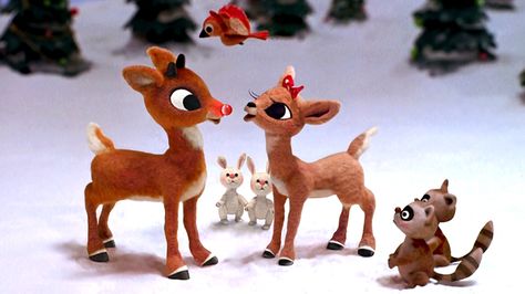 Although a copywriter named Robert L. May invented the oddball reindeer in 1939 as a marketing gimmick, Rudolph the Red Nosed Reindeer became a bonafide holiday character in 1964 with his own feature film.   - GoodHousekeeping.com Rudolph The Red Nosed Reindeer, Rudolph The Red, Red Nosed Reindeer, Reindeer, Christmas, Red, Animals