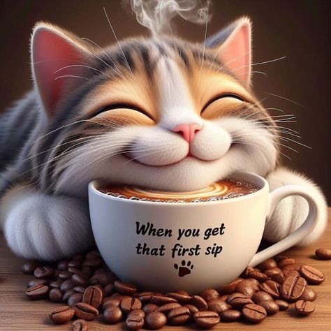 Morning Coffee Funny, Cute Good Morning Gif, Good Morning Cat, Good Morning Cartoon, Morning Cat, Good Morning Funny Pictures, Morning Coffee Images, Cute Good Morning Images, Good Morning Sunshine Quotes