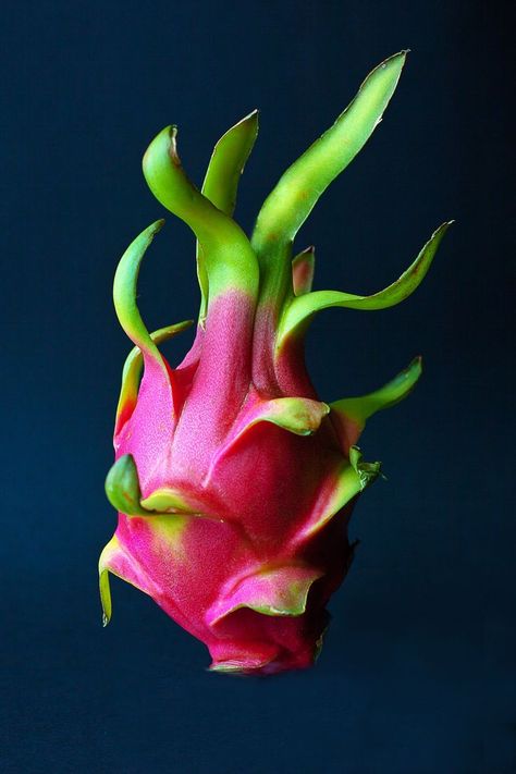 Watermelon Flower, Dragon Fruit Smoothie, Carrot Flowers, Healthy Fruit Smoothies, Fruit Du Dragon, Leaf Structure, Thanh Long, Seasonal Fruit, Fruits Photos