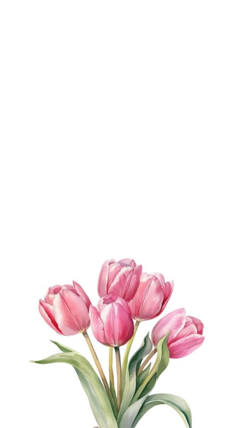 ⋆ ˚｡⋆୨♡୧⋆ ˚｡⋆ Sketch Rose, Image Girly, Rose Line Art, Tulips Pink, Rose Sketch, Tulip Painting, Cute Summer Wallpapers, Tulips Art, Simple Iphone Wallpaper