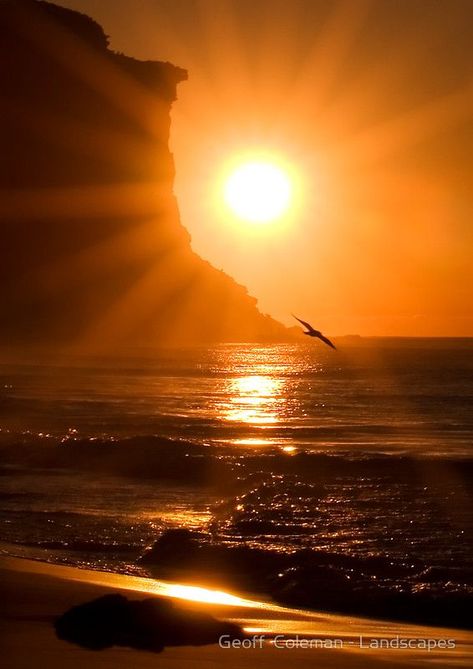 ~~Radiance | dawn at Garie Beach, Royal National Park just south of Sydney, Australia | by Geoff  Coleman - Landscapes~~ Pink Lake, Söt Katt, Photographie Portrait Inspiration, Image Nature, Ulsan, Beautiful Sunrise, Beach Paradise, Beautiful Sky, Beautiful Sunset