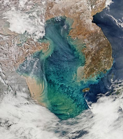 Incredible Images of Algal Blooms Taken From Space | WIRED Nasa Poster, Nasa Earth, Yellow Sea, Nasa Images, Sea Can, Remote Sensing, Satellite Image, Space Photos, Ocean Colors