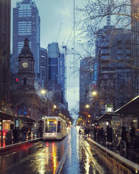 Melbourne Wallpaper, Melbourne Tram, Rain Street, Melbourne Winter, Pinterest Feed, After Rain, Rainy Night, Winter Beauty, City Aesthetic