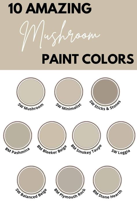 10 Best Mushroom Paint Colors - West Magnolia Charm Mushroom Gray Paint Color, Magnolia Neutral Paint Colors, Mushroom Paint Color Benjamin Moore, Most Popular Cabinet Paint Colors, Mushroom Paint Color Living Room, Mushroom Color Exterior House, Mushroom Benjamin Moore, Bm Mushroom Paint Color, Mushroom Color Bedroom