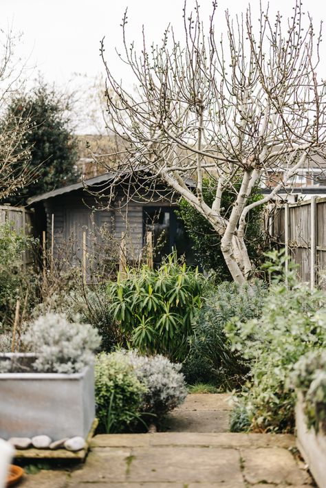 For Sale: Gellatly Road II, London SE14 | The Modern House Red Kitchen Island, Art Deco Fireplace, Small Front Gardens, Patio Seating Area, Tiled Hallway, English Country Cottage, South Facing Garden, Small Courtyards, Wooden Shutters