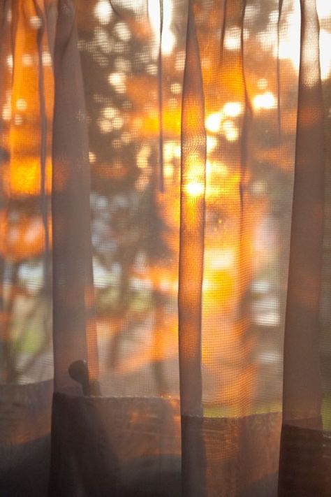 Photo Class, Through The Window, Alam Yang Indah, Morning Light, Something Beautiful, Aesthetic Photo, Light And Shadow, Aesthetic Photography, Golden Hour