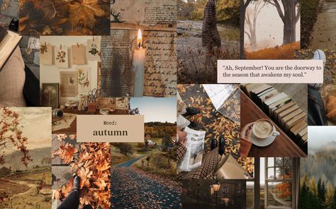 Autumn Ipad Wallpaper Aesthetic, Autumn Cozy Aesthetic Wallpaper, Aesthetic Ipad Air Wallpaper, Macbook Book Wallpaper, Aesthetic Fall Ipad Wallpaper, Ipad Autumn Wallpaper Aesthetic, October Macbook Wallpaper Aesthetic, Aesthetic Autumn Desktop Wallpaper, Fall Mood Board Wallpaper Laptop