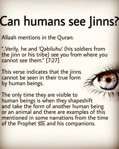 Humans and jinns  #islam #islamicquotes #allah #muslim #muslimqoutes #islamquotes #muslimsaroundtheworld #muslimsoftheworld #jinnie #jinn #human&jinn #jins #binteyusaf Jinn In Quran, Facts About Jin In Islam, Jinns In Islam, Jinn Stories, Jinn In Islam, About Quran, The Jinn, Author Tips, Story Tale